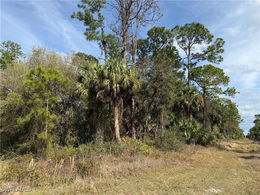 View of local wilderness