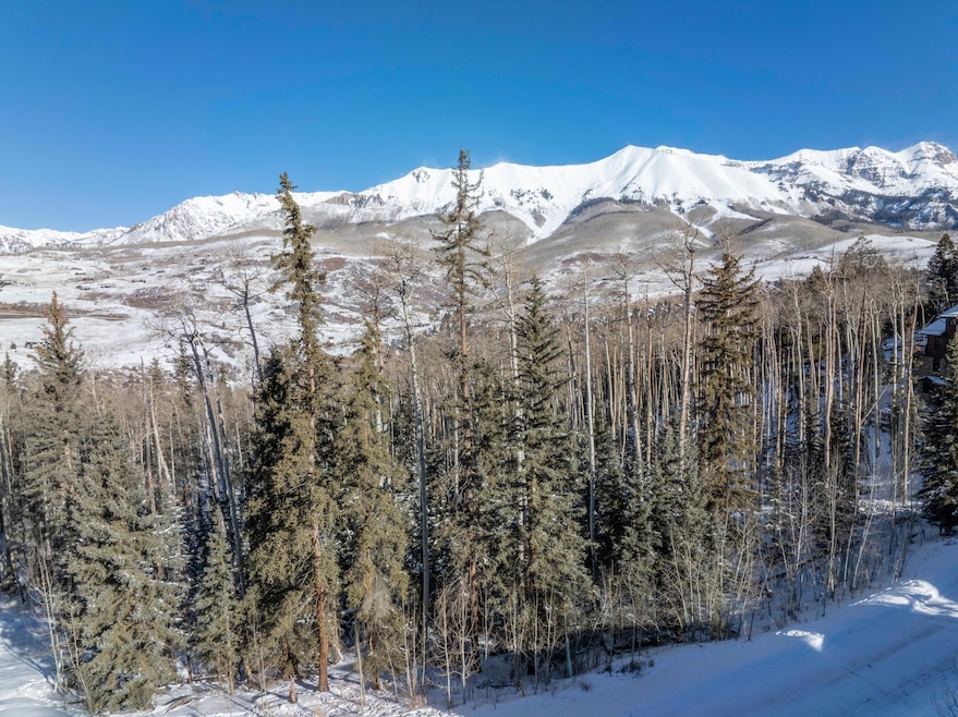 North Winter Views