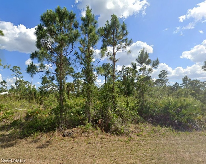 1130 Dutchess St E, Lehigh Acres, FL 33974 - photo 1