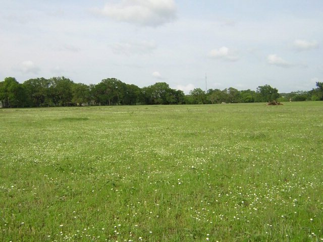1210 Nicole Ln unit 25, Fredericksburg, TX 78624 - photo 1