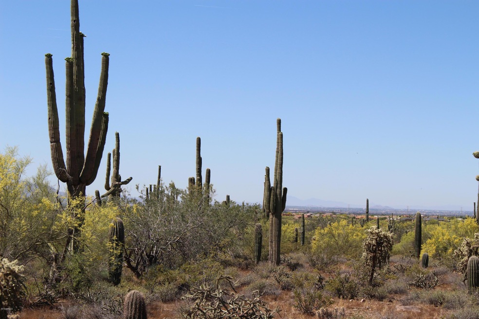 2518 N Mountain Rd, Mesa, AZ 85207 - photo 1