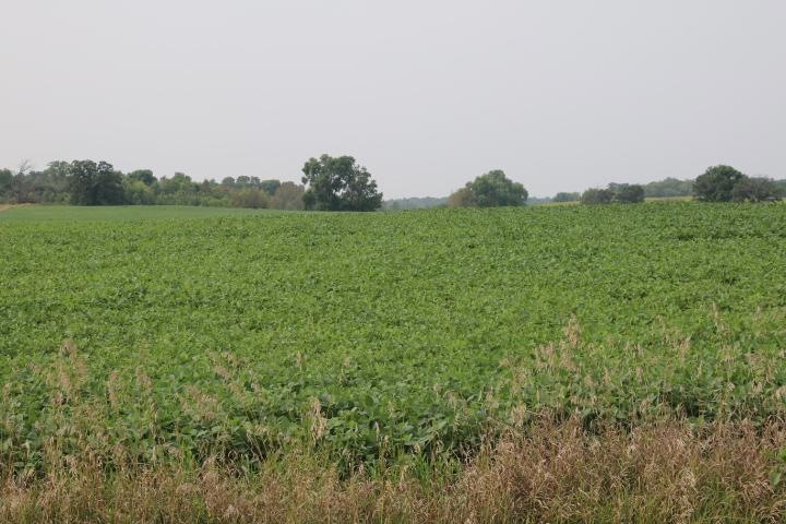 00002 County Road 14 NE, Spruce Hill Township, MN - photo 1