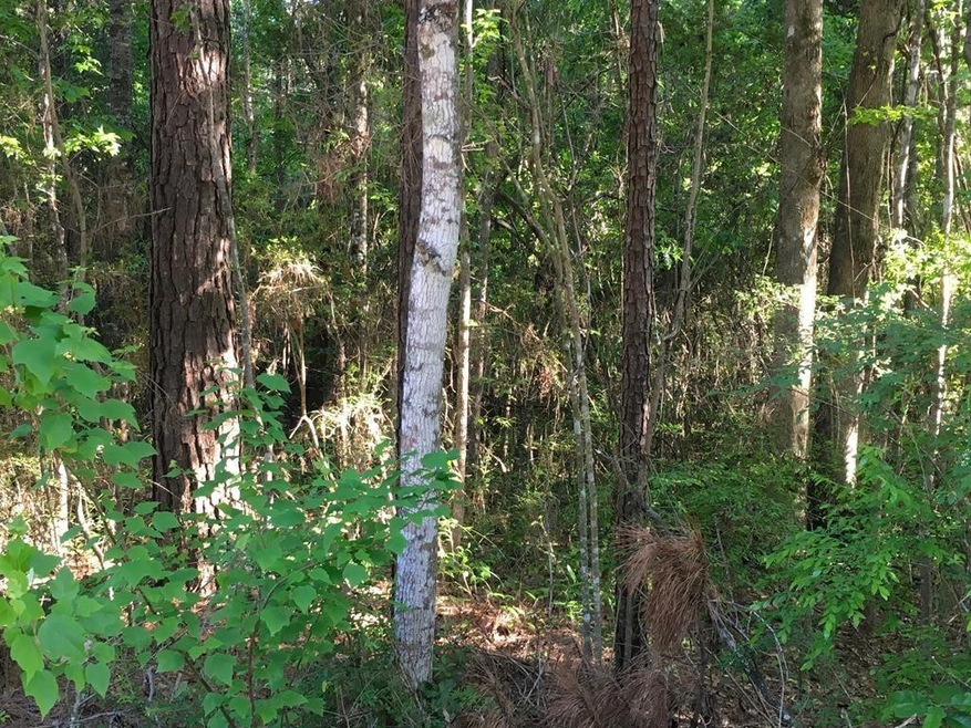 000 Fortenberry Cir, McComb, MS 39648 - photo 1