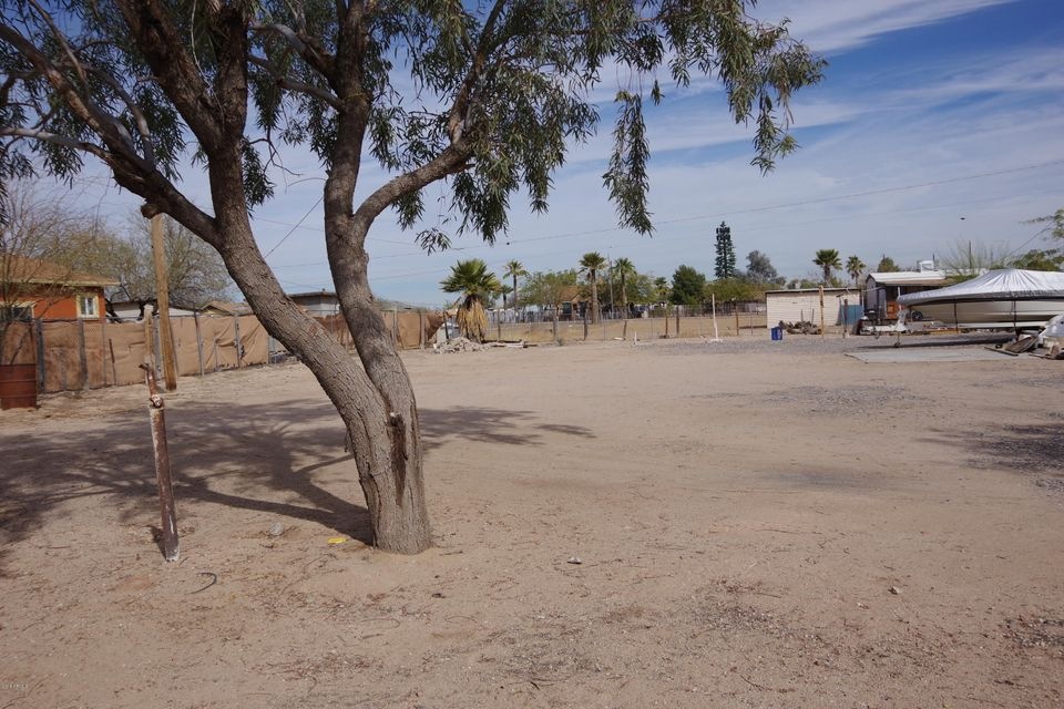 IMGP0603