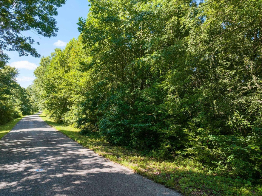 0 Parrish Rd, Linden, TN 37096 - photo 1