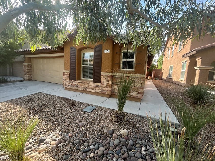 7329 Charreado Ct, Las Vegas, NV 89179 - photo 1