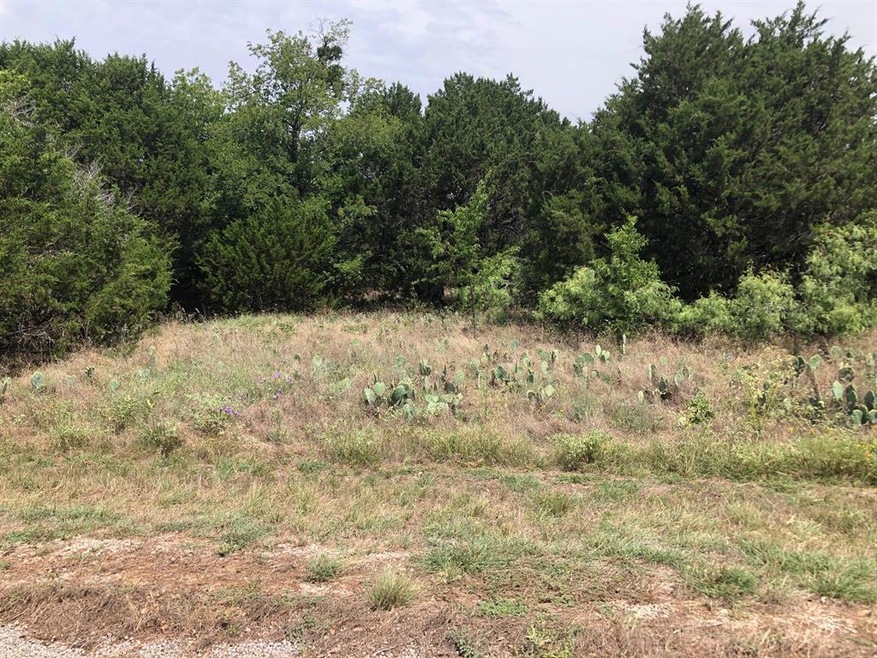 8118 High Mesa Dr, Whitney, TX 76692 - photo 1