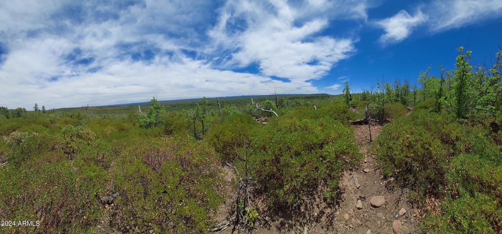 Panoramic 1