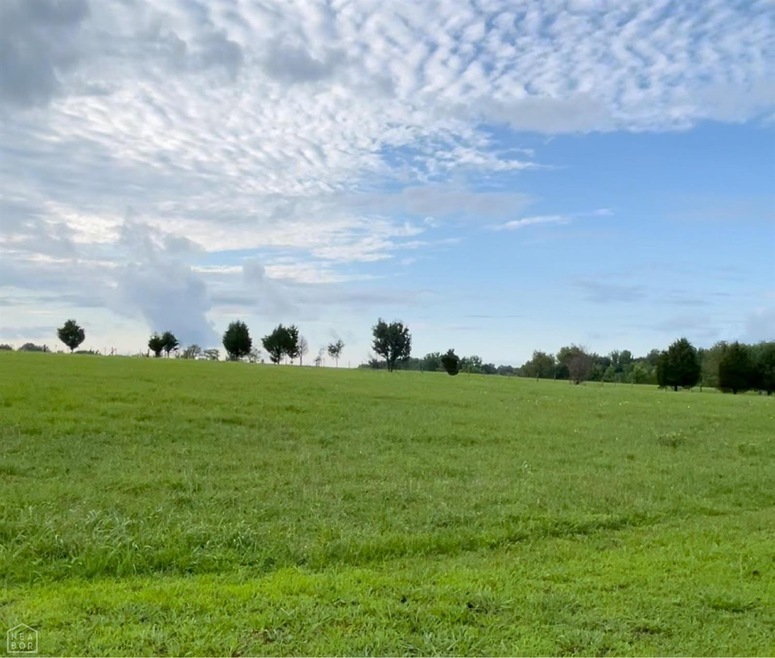 unlisted-address, Paragould, AR 72450 - photo 1