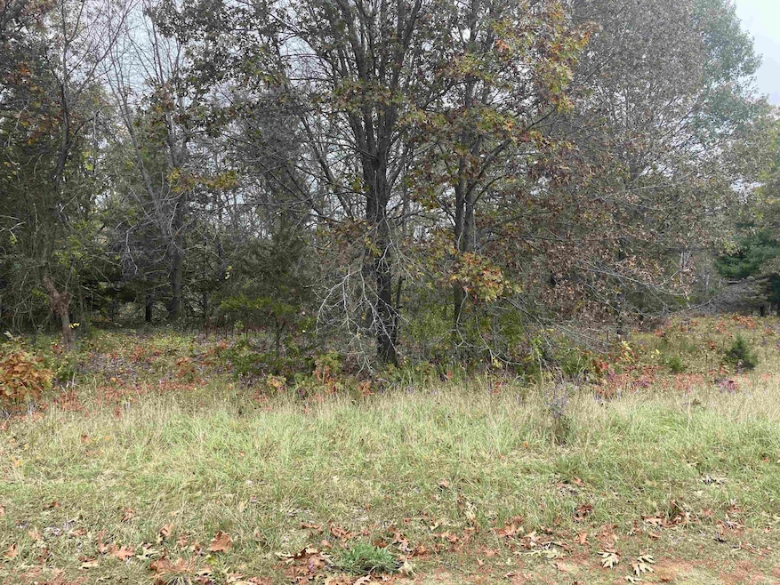 Lot 2 Sandcrest Ln, Princeton, WI 54968 - photo 1