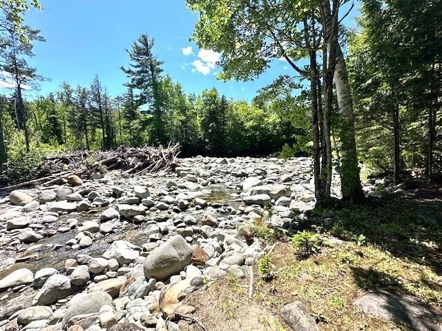 Rapid Stream