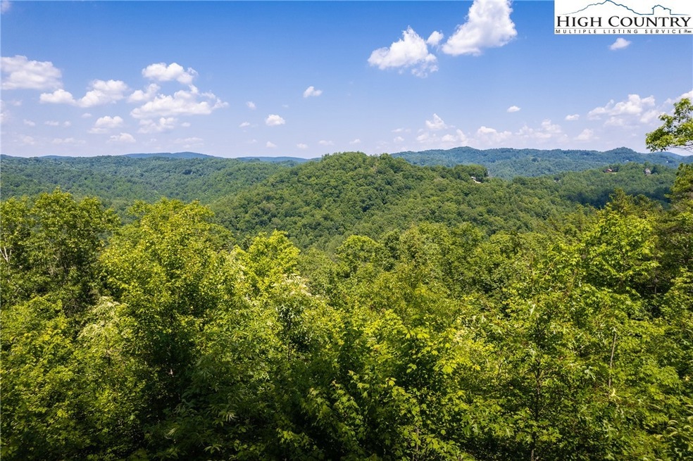 14 Lavender Ln, Ferguson, NC 28624 - photo 1