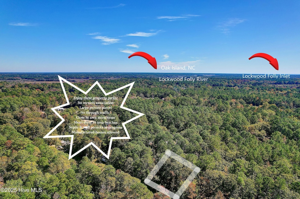 687 Eastwind Dr SW, Supply, NC 28462 - photo 1