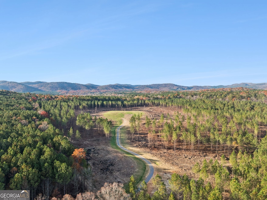 0 Ben Mosley Cir unit 10654033, Summerville, GA 30747 - photo 1