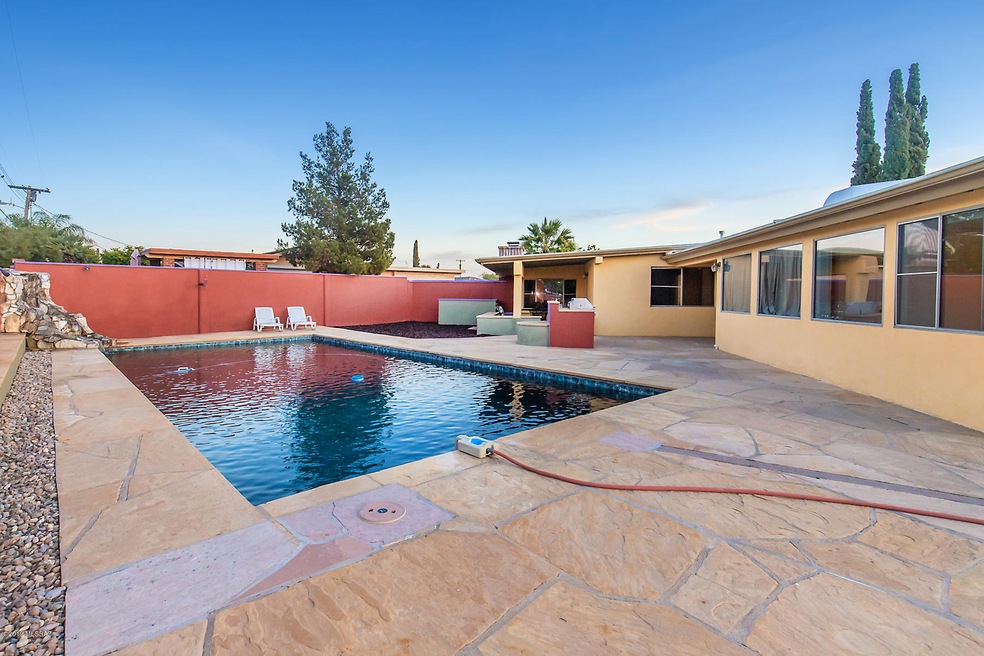 Pool and Back Yard