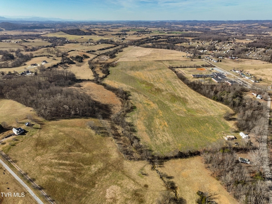 Tbd Old State Route 34, Limestone, TN 37681 - photo 1