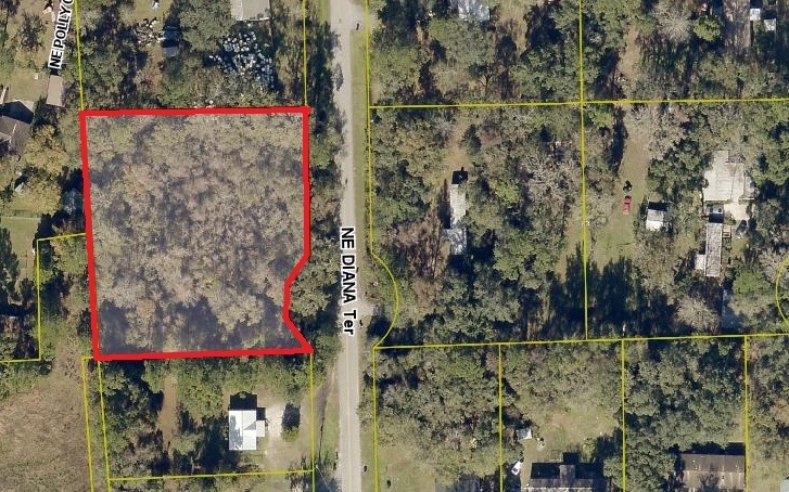 TBD Diana Terrace, Lake City, FL 32055 - photo 1