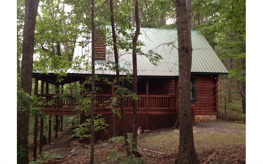 Main View