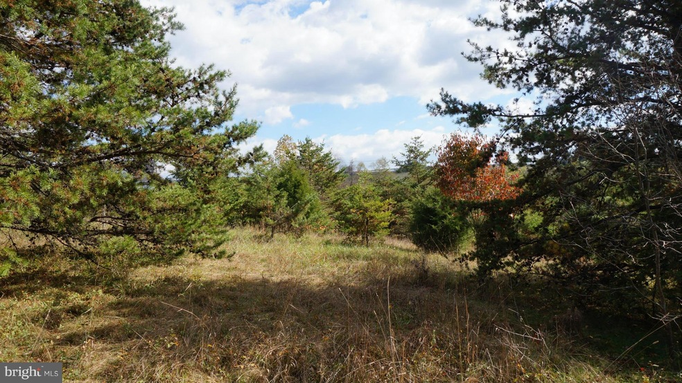 0 Jordan Hollow Ln unit 1000167925, Berkeley Springs, WV 25411 - photo 1