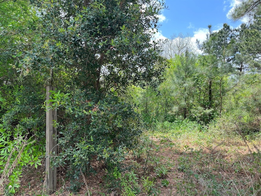 0 Kimball Ln, Hockley, TX 77447 - photo 1