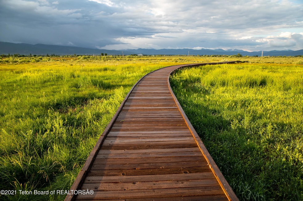 Fen Boardwalk + Moody Sky
