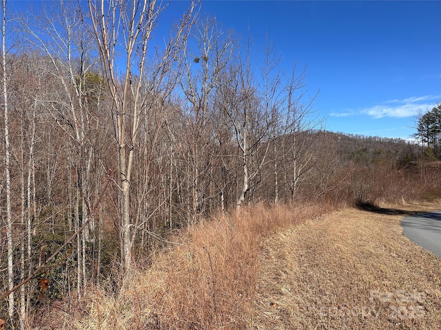 0 Winding Ridge unit 158 CAR4230713, Lake Lure, NC 28746 - photo 1