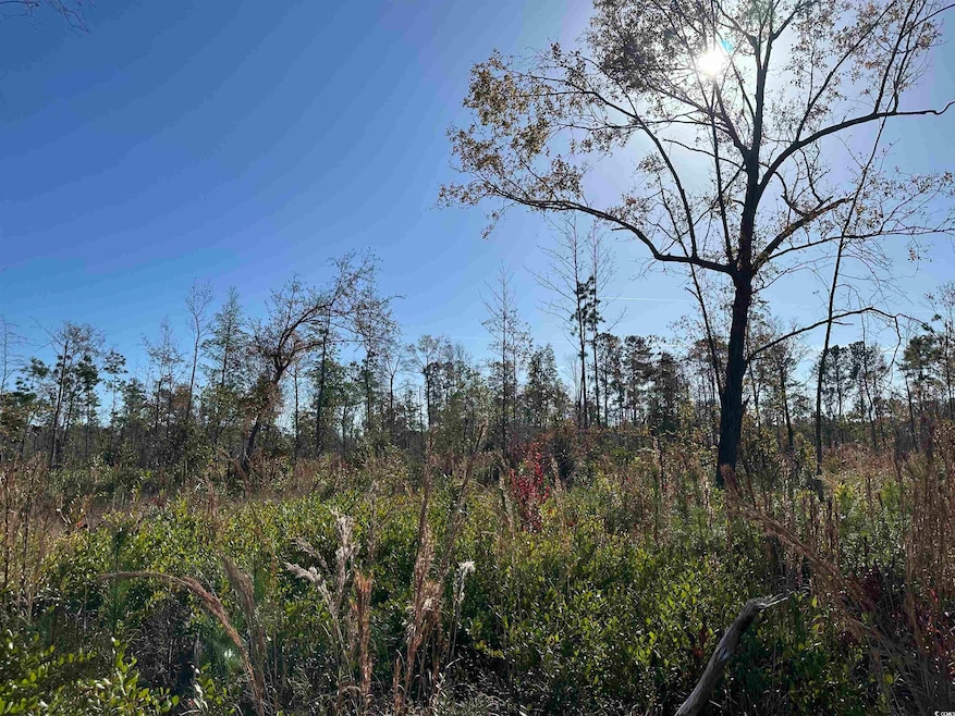 Sold $74,000 • Co-Listing Agent