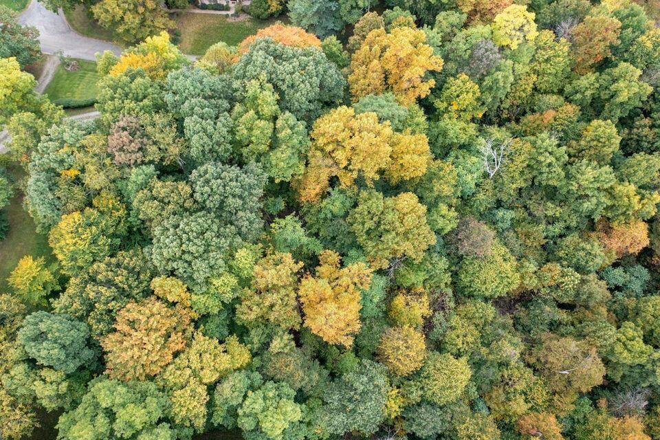 Sold $28,000 • Co-Listing Agent