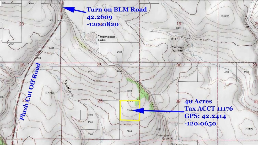 Adel 40 Acres