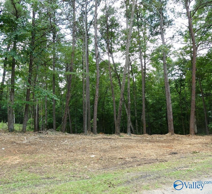 76 Harbor Light Trail, Jasper, AL 35504 - photo 1