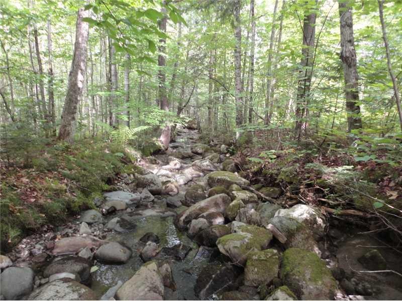 Land. Meandering stream thru property.