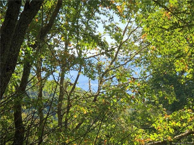 Zoomed in potential view with tree trimming