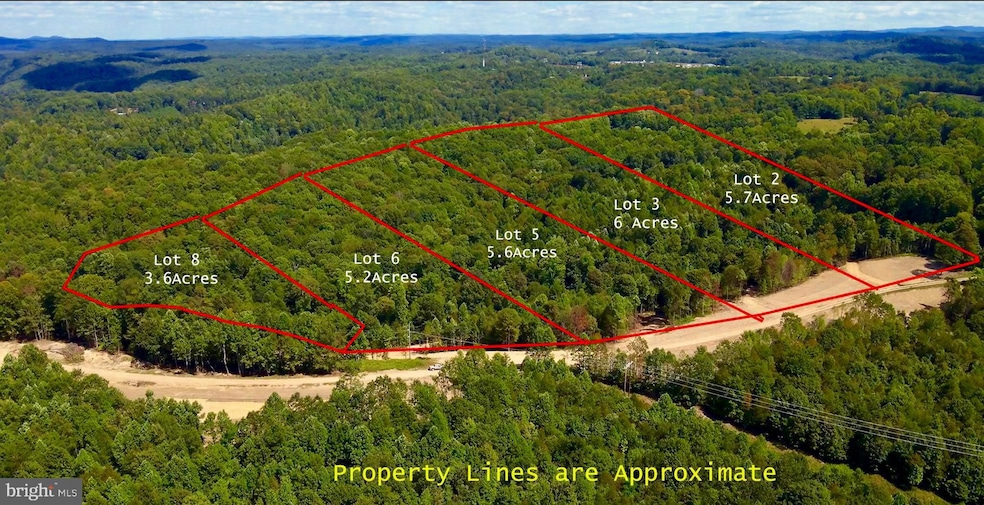Lot 2 Ridge Rd, Mount Nebo, WV 26679 - photo 1