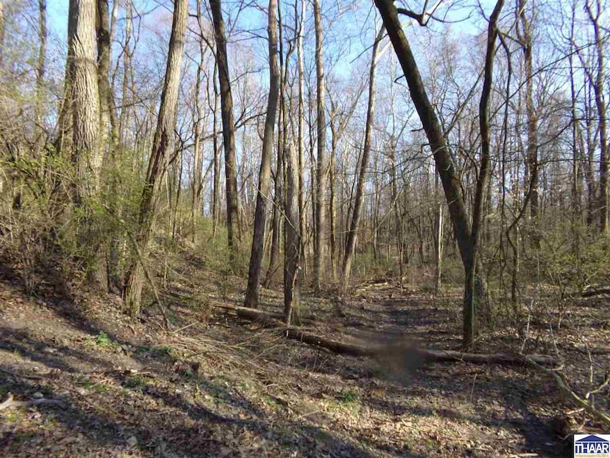 Lot #2 N Cory Staunton Rd, Posey Township, IN 47834 - photo 1