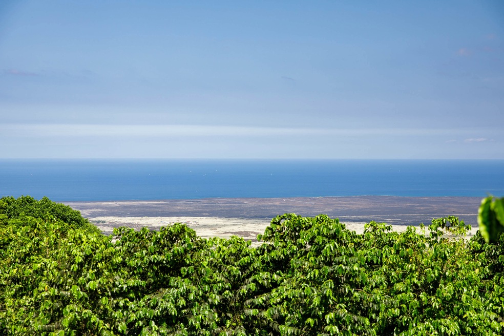 Sold $875,000