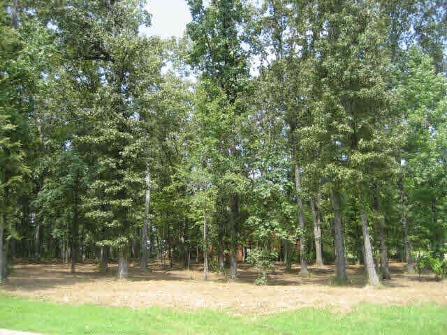 Beautiful Hardwoods!