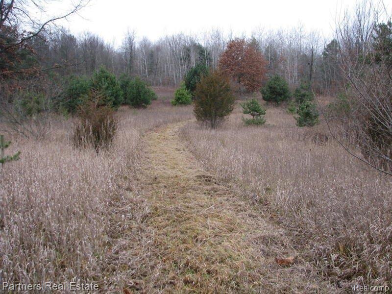 Westphal Vacant Land
