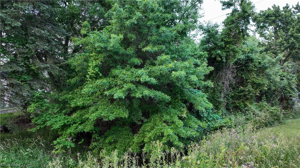 0 Bishop Rd unit 4473822, Wickliffe, OH 44092 - photo 1