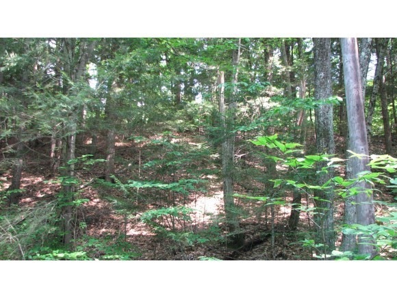 0 Woodland Acres unit 4424827, Eaton, NH 03832 - photo 1