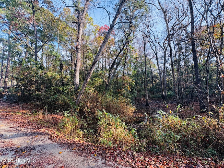 1574 Hollywood St SW, Shallotte, NC 28470 - photo 1