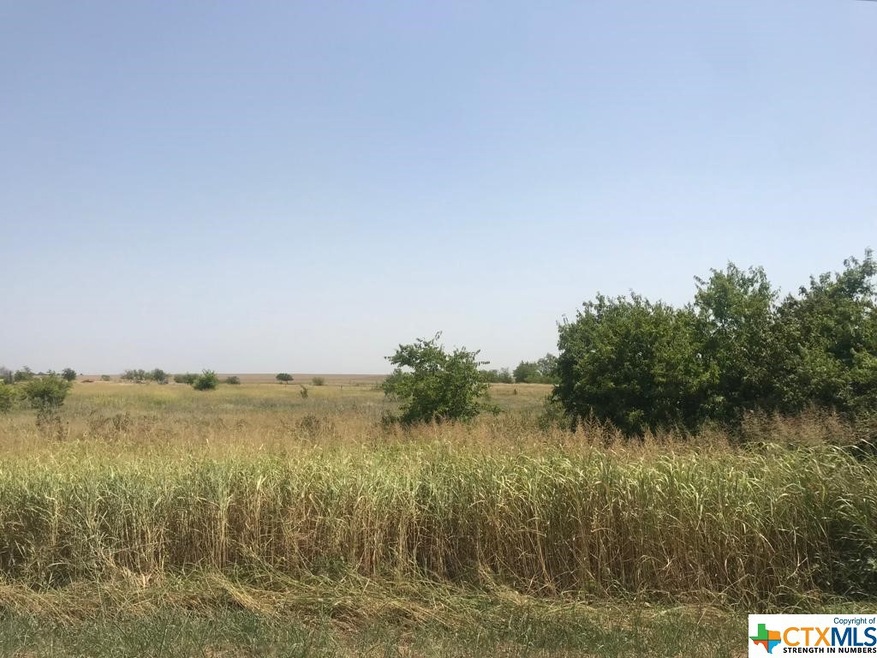 TBD 8 Acres Cr 452, Bruceville-Eddy, TX 76524 - photo 1
