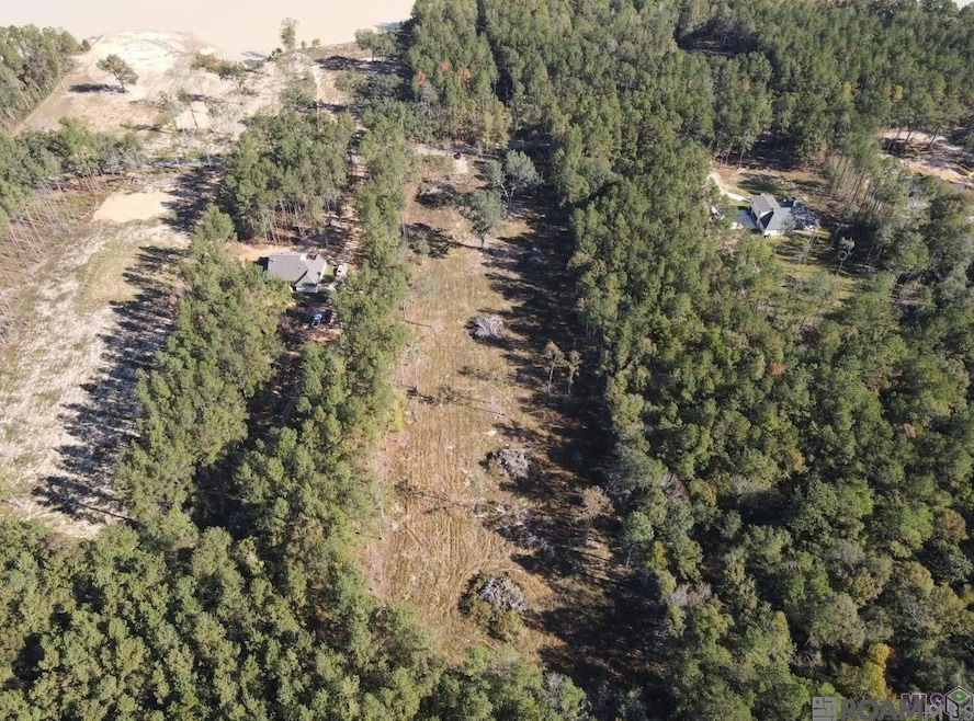 3315 Nesom Rd, Denham Springs, LA 70706 - photo 1