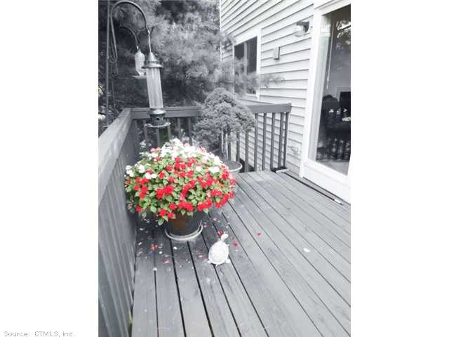 Deck.