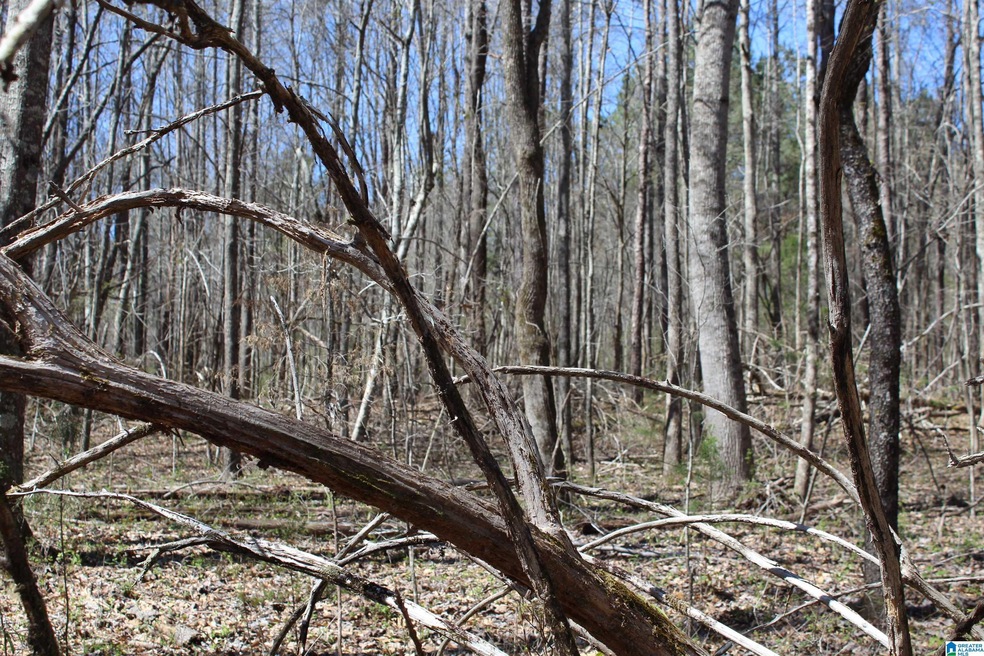 0 County Road 30 unit 1316294, Roanoke, AL 36274 - photo 1