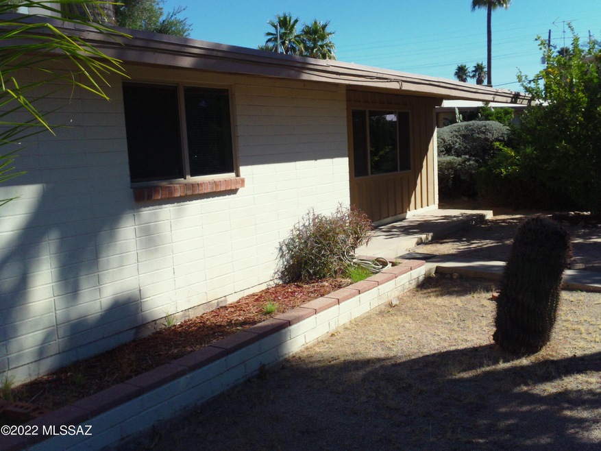Front yard