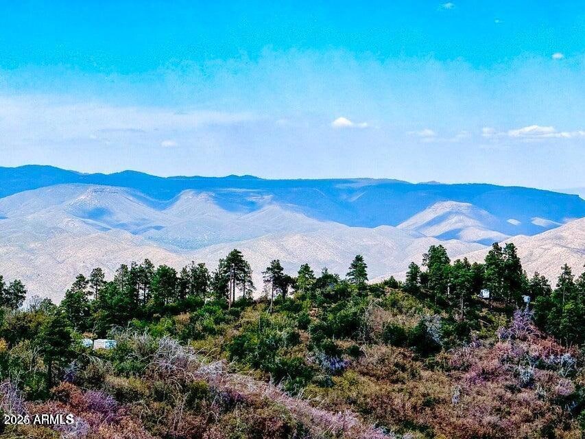 20250405074854992742000000-o (1)