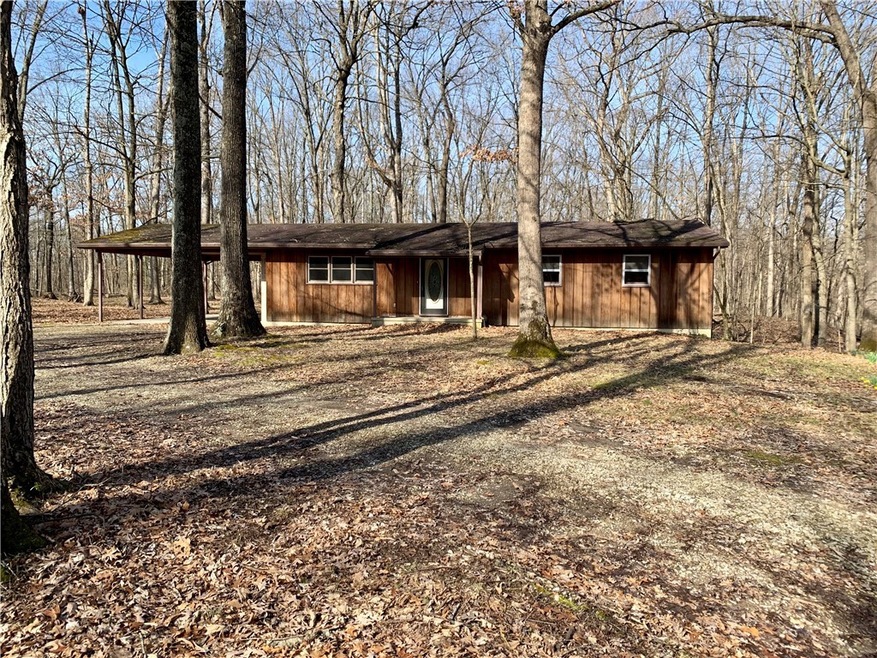 10981 N 1175th St, Watson, IL 62473 - photo 1