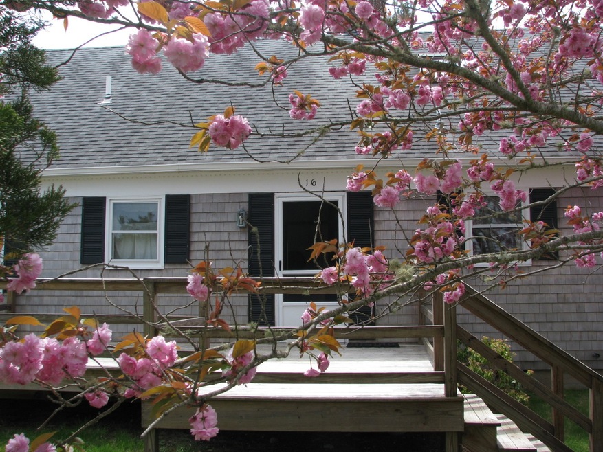 16 Plover Ln, Edgartown, MA 02539 - photo 1