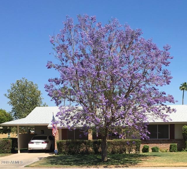 13805 n 99th dr naismith jacaranda tree