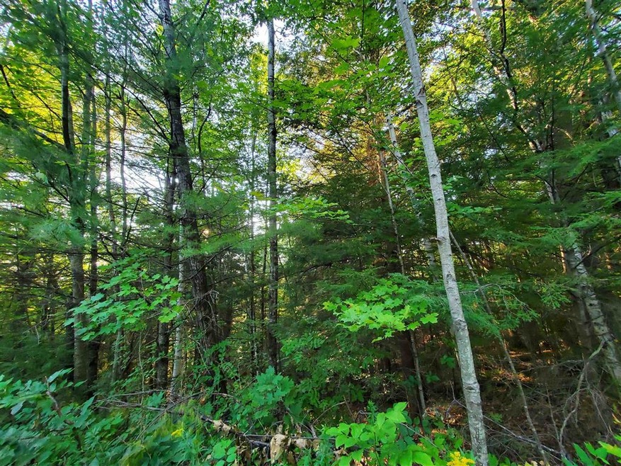 Lot 3 Carriage Rd, Bridgewater, NH 03222 - photo 1